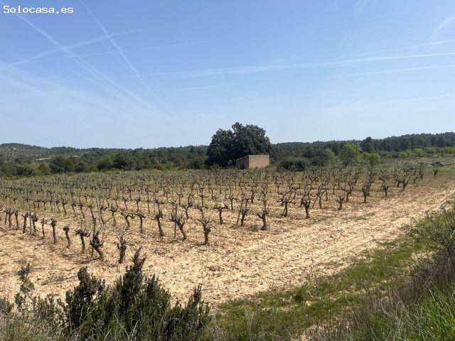 Local Comercial en venta en Matarraña / Matarranya, Calaceite