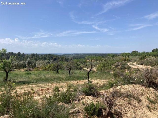 Local Comercial en venta en Matarraña / Matarranya, Calaceite