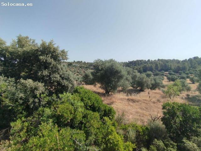 Local Comercial en venta en Matarraña / Matarranya, Calaceite