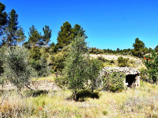 Chalet en venta en La Fresneda / la Freixneda, Matarraña / Matarranya