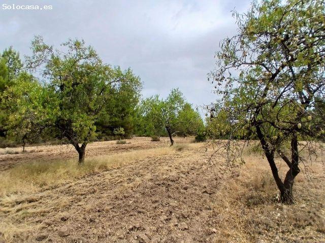 Local Comercial en venta en Matarraña / Matarranya, La Fresneda