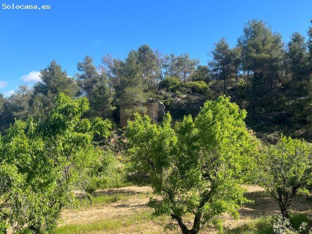 Local Comercial en venta en Matarraña / Matarranya, Fórnoles