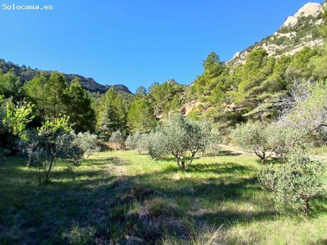 Local Comercial en venta en Terra Alta, Catalunya