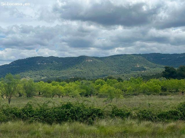Local Comercial en venta en Matarraña / Matarranya, Ráfales