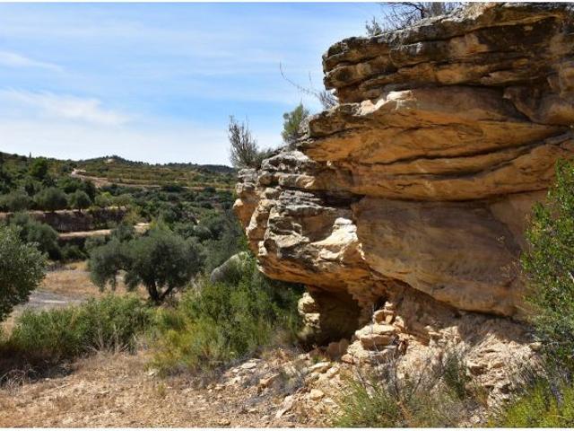 Local Comercial en venta en Bajo Aragón, Aragón