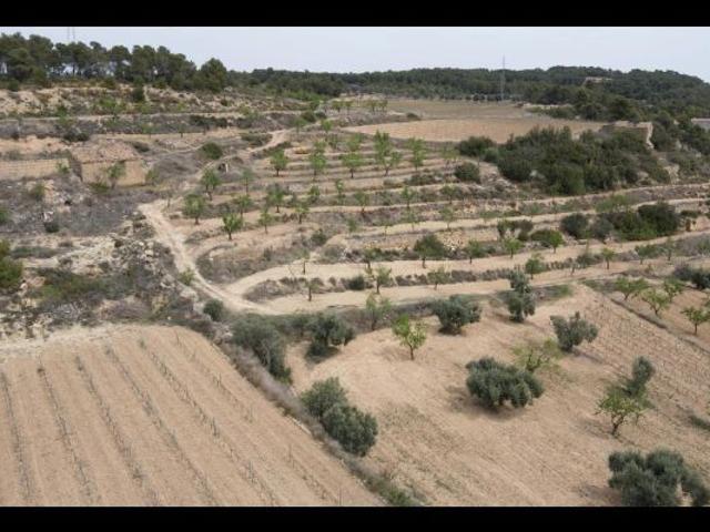 Local Comercial en venta en Caseres