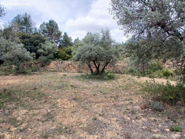 Local Comercial en venta en Matarraña / Matarranya, Fórnoles