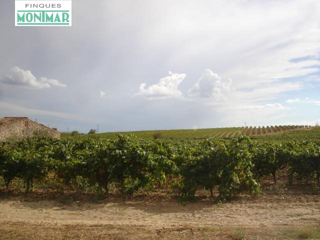 Chalet en venta en Alt Penedès, Catalunya