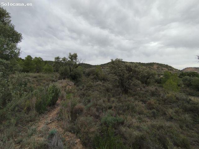Local Comercial en venta en Matarraña / Matarranya, La Fresneda