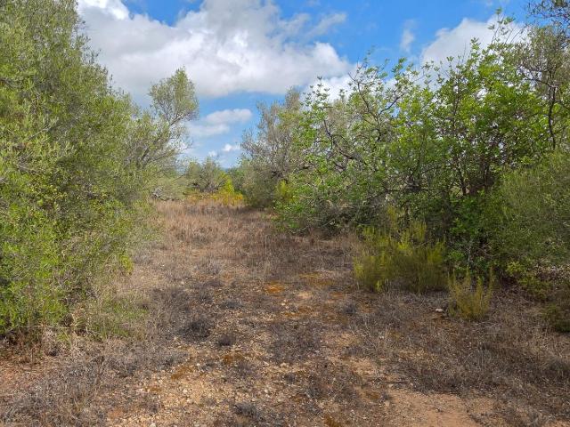 Chalet en venta en Baix Ebre, Catalunya