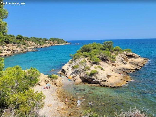 Local Comercial en venta en Baix Ebre, Catalunya
