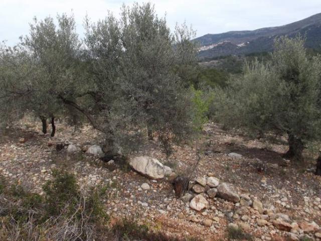 Terreno en venta en la Plana Alta, Valencia