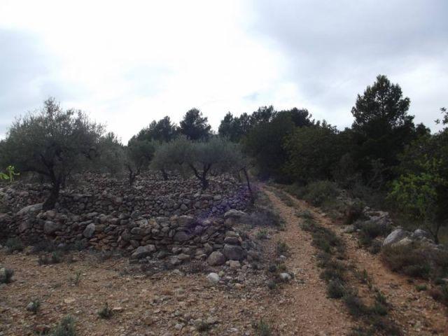 Local Comercial en venta en la Plana Alta, Valencia