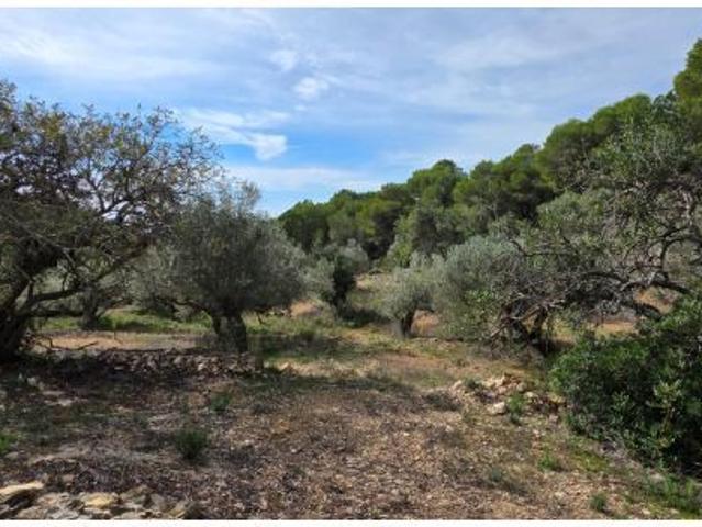 Local Comercial en venta en Baix Ebre, Catalunya