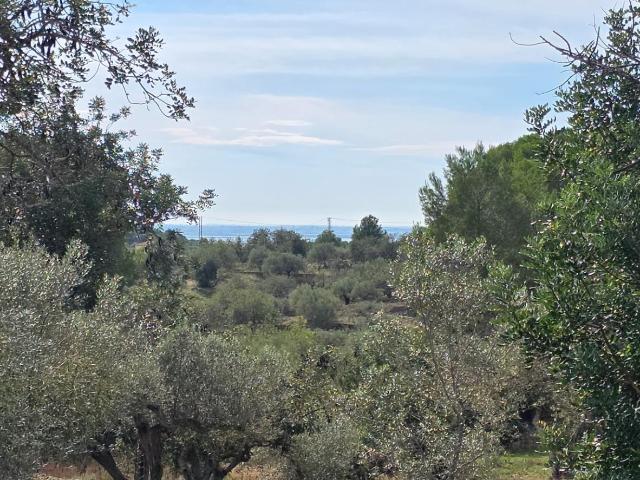 Chalet en venta en el Pont, l'Ametlla de Mar