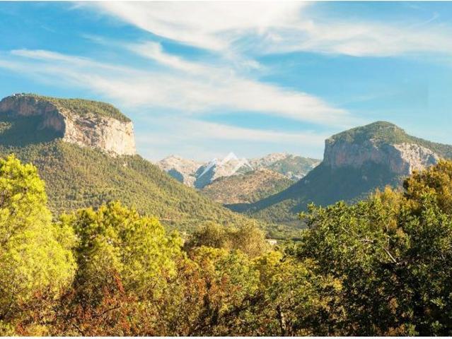 Local Comercial en venta en Raiguer, Baleares