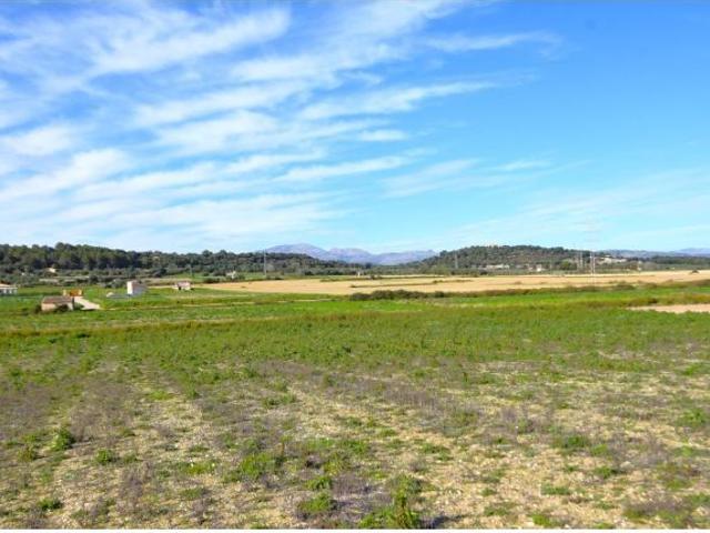 Local Comercial en venta en Pla de Mallorca, Baleares