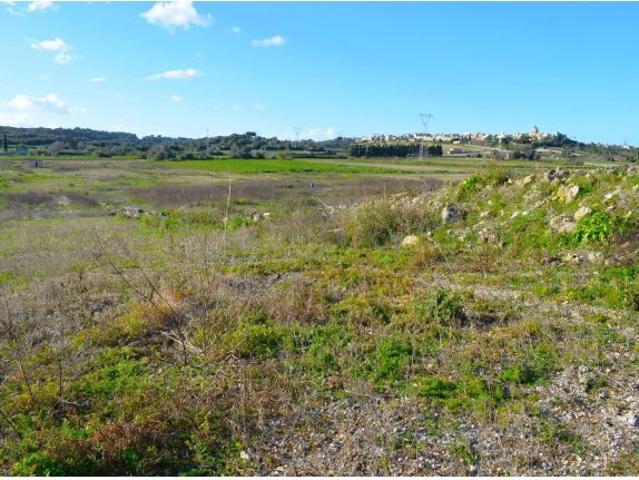 Local Comercial en venta en Pla de Mallorca, Baleares