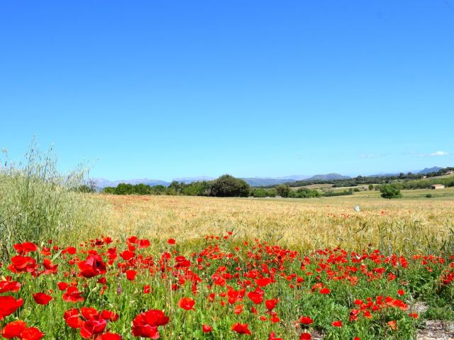 Chalet en venta en Pla de Mallorca, Baleares