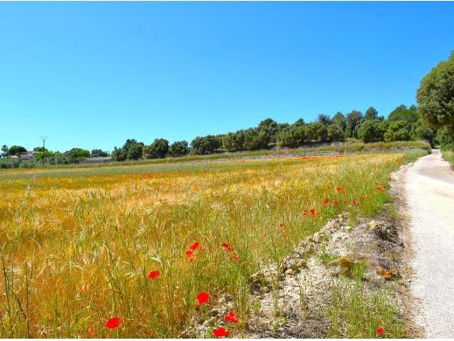 Local Comercial en venta en Pla de Mallorca, Baleares