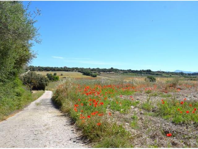 Local Comercial en venta en Pla de Mallorca, Baleares
