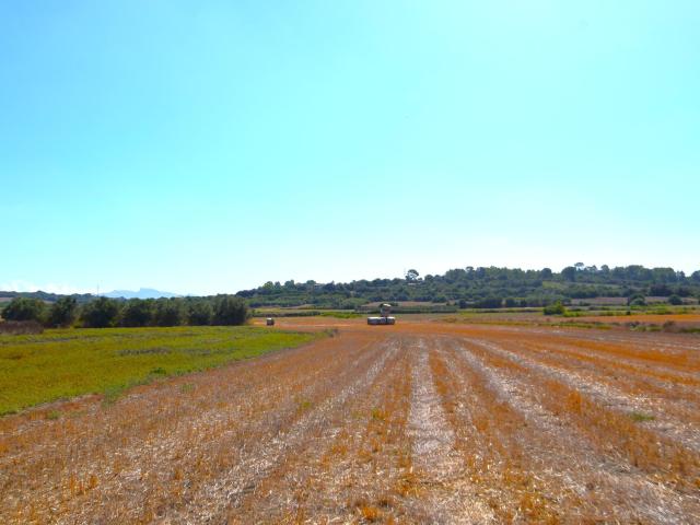 Chalet en venta en Pla de Mallorca, Baleares