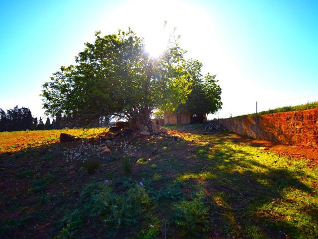 Chalet en venta en Pla de Mallorca, Baleares