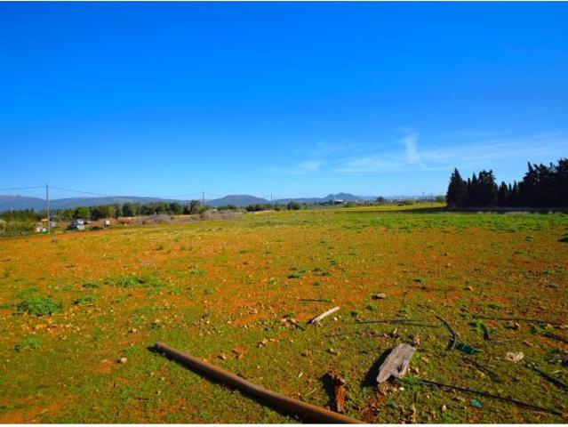 Local Comercial en venta en Pla de Mallorca, Baleares