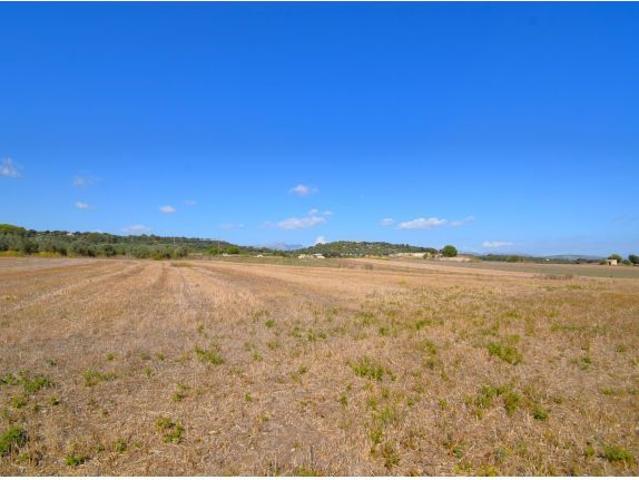 Local Comercial en venta en Pla de Mallorca, Baleares