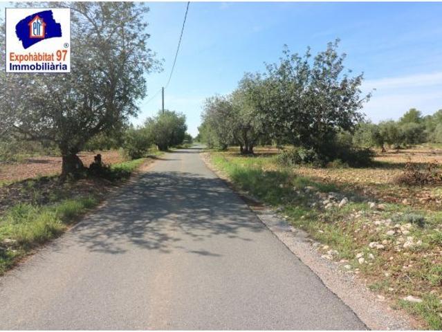 Local Comercial en venta en Club Mont-roig, Mont-roig del Camp