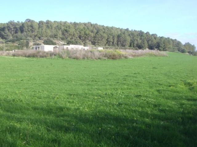 Villa en venta en Algaida