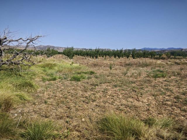 Terreno en venta en Valdejalón, Aragón