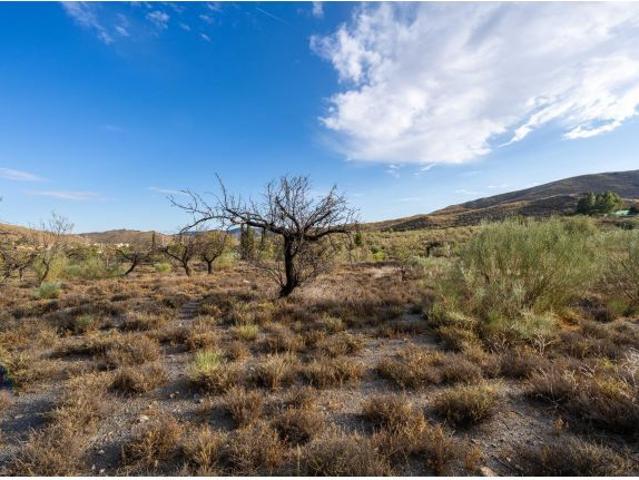 Local Comercial en venta en Senés, Andalucía