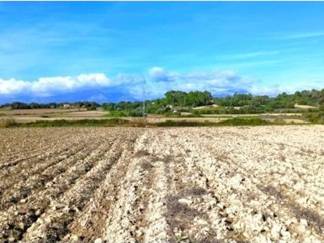 Local Comercial en venta en Pla de Mallorca, Baleares
