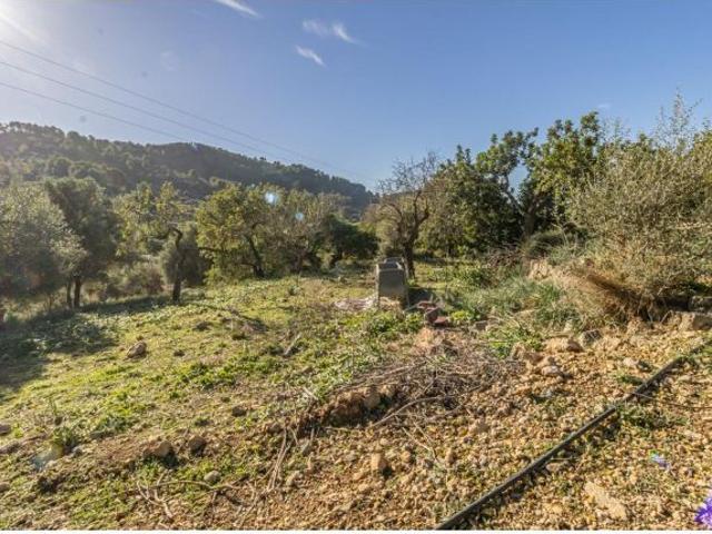 Local Comercial en venta en Raiguer, Baleares