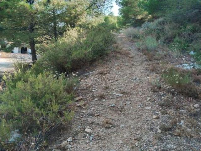 Local Comercial en venta en Sierra de las Nieves, Andalucía