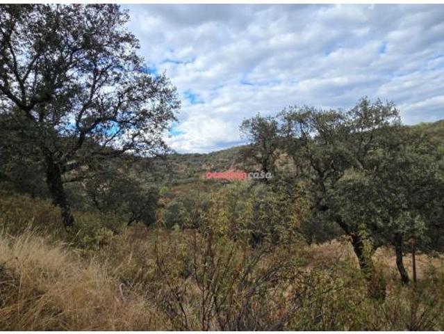 Local Comercial en venta en Obejo, Andalucía