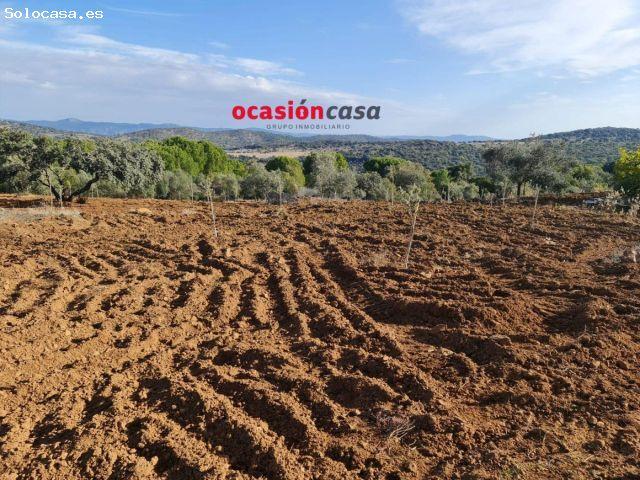 Local Comercial en venta en Villanueva Del Rey, Andalucía