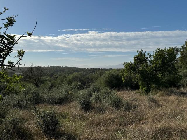 Chalet en venta en Pla de Mallorca, Baleares