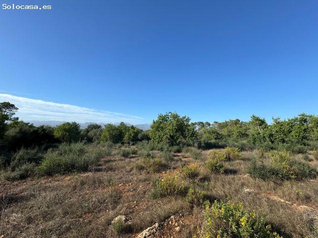 Local Comercial en venta en Pla de Mallorca, Baleares