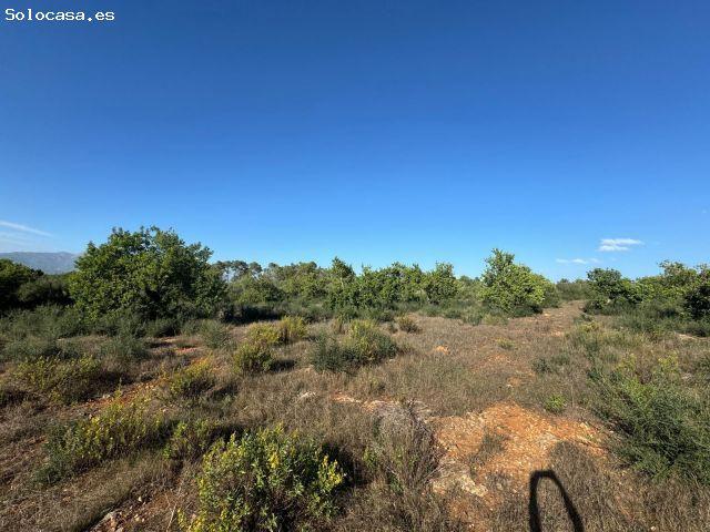 Local Comercial en venta en Pla de Mallorca, Baleares