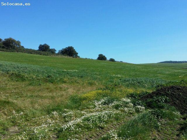 Local Comercial en venta en Peñarroya-pueblonuevo, Andalucía