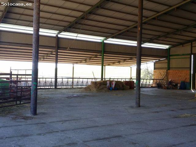 Local Comercial en venta en Peñarroya-pueblonuevo, Andalucía