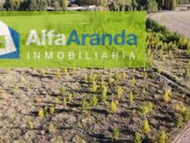 Chalet en venta en Torregalindo, Castilla y León