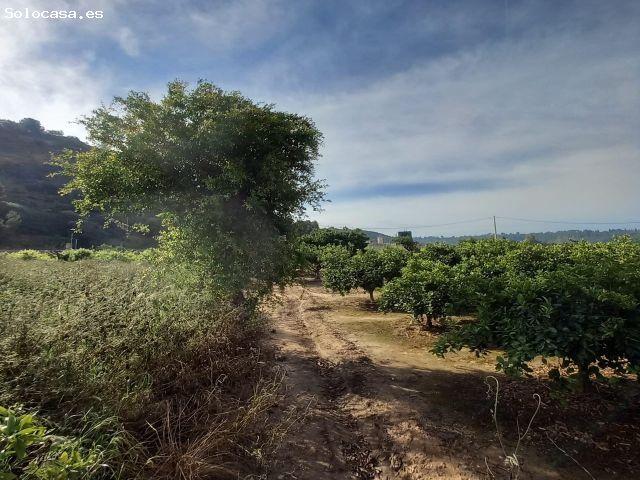 Finca en venta en Baix Ebre, Catalunya