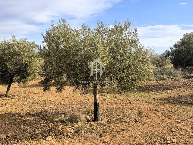 Terreno en venta en Comarca de Loja, Andalucía