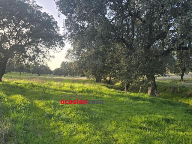 Chalet en venta en Fuente Obejuna, Andalucía