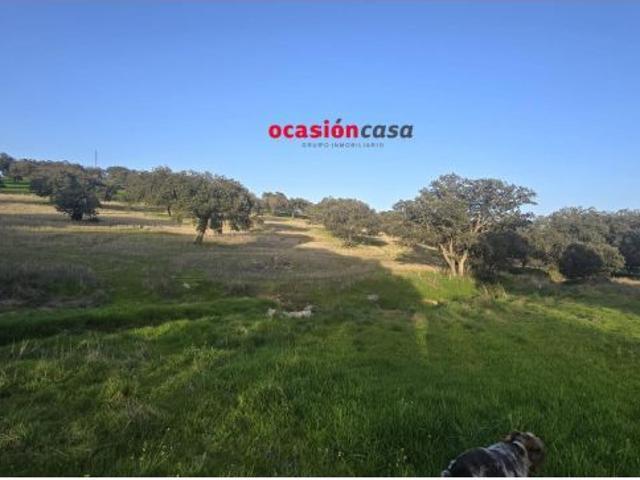 Local Comercial en venta en Fuente Obejuna, Andalucía