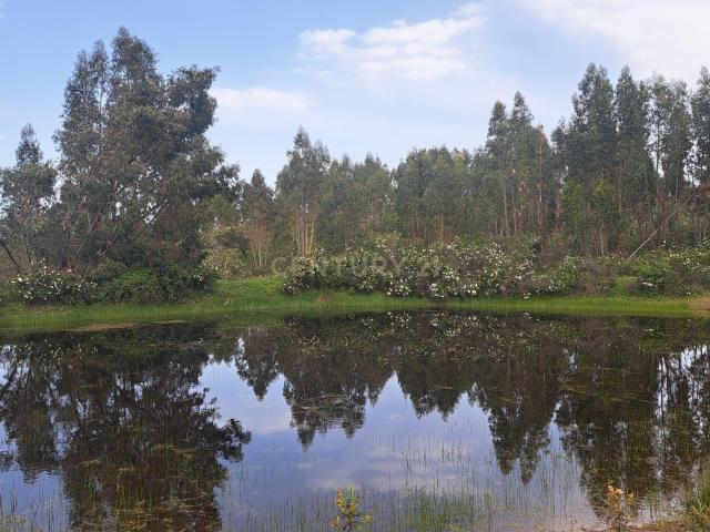 Terreno en venta en Herrera De Alcántara, Extremadura