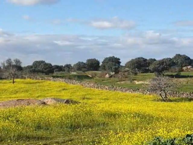 Terreno en venta en Aldea Del Cano, Extremadura